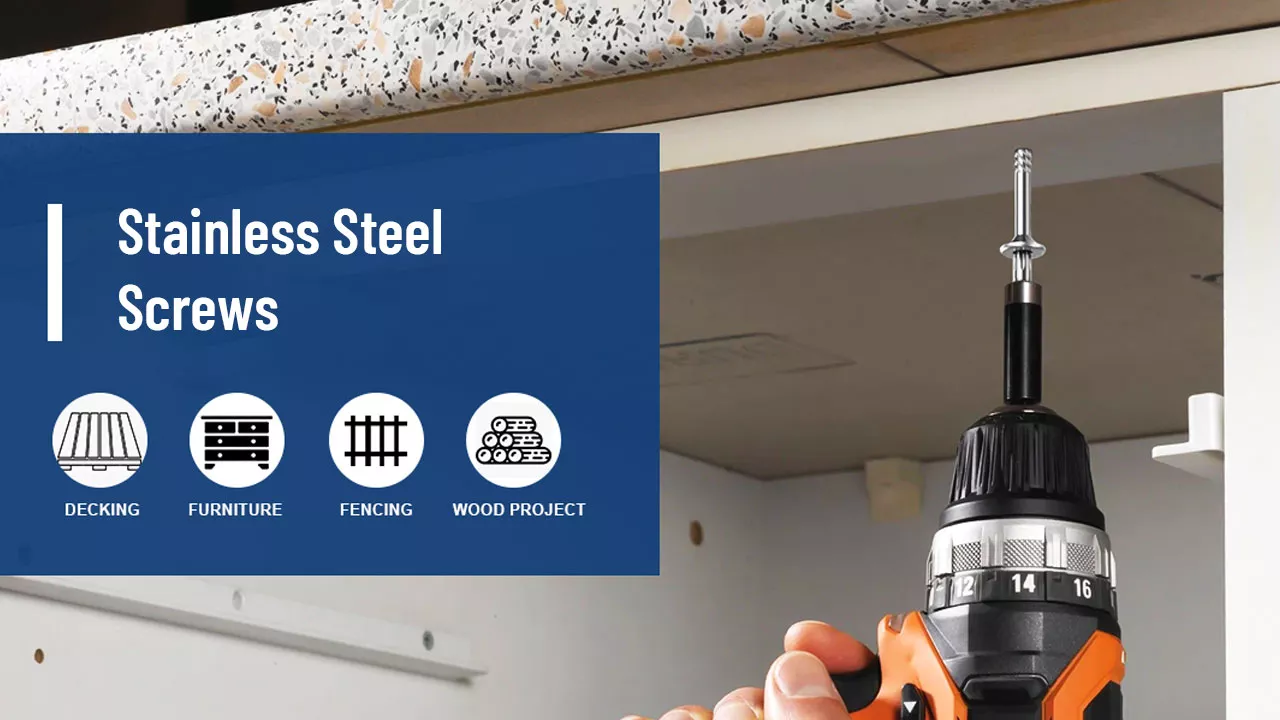 Stainless Steel Screws
